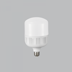 Bright Star Lighting - 5 Watt LED Bulb in Cool White - T50