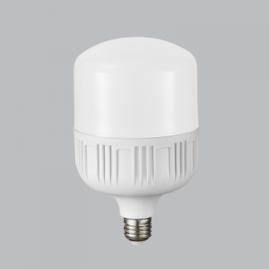 Bright Star Lighting - 13 Watt LED Bulb in Cool White - T70