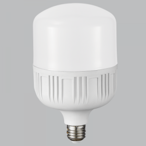 Bright Star Lighting - 38 Watt LED Bulb in Cool White - T125