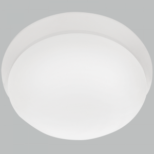 Bright Star Lighting - LED Ceiling Fitting with Polycarbonate Cover - L
