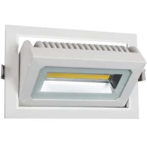Bright Star Lighting - LED Rectangular Adjustable Down lighter - S