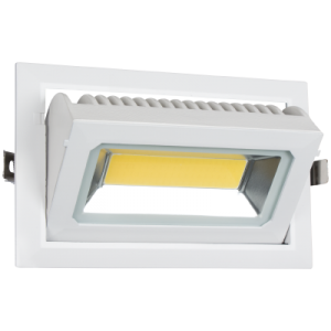 Bright Star Lighting - LED Rectangular Adjustable Down lighter - L