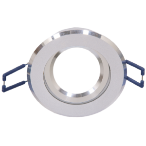 Bright Star Lighting - Tilt Brushed Aluminium Downlighter