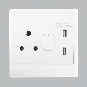 Bright Star Lighting - 16 Amp Plug with 2x 5V USB Ports