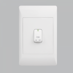 Bright Star Lighting - 2 X 4 Push Dimming Switch