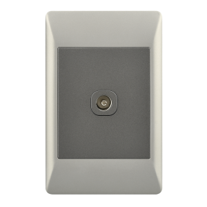 Bright Star Lighting - 2 X 4 TV Socket (Female)
