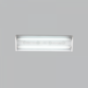 Bright Star Lighting - 2 Foot White LED Flush Mount Fluorescent Fitting with Grid