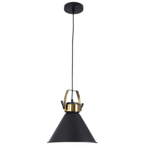 Bright Star Lighting - V Shaped Metal Pendant with Metal D馗or