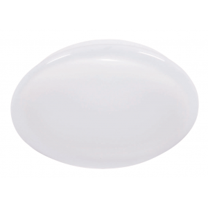 Bright Star Lighting - LED Ceiling Fitting with Polycarbonate Cover - L