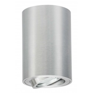 Bright Star Lighting - Down Facing Tilt Surface Mount Down lighter Fitting - Silver - Silver