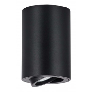 Bright Star Lighting - Down Facing Tilt Surface Mount Down lighter Fitting - Silver - Black