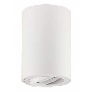 Bright Star Lighting - Down Facing Tilt Surface Mount Down lighter Fitting - Silver - White