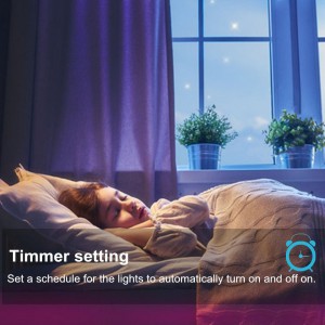 WenTop Wireless Smart  LED Strip Light kit with DC12V UL Power Supply - 5M