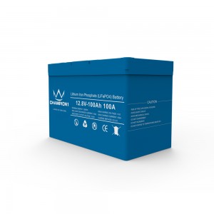 CHAMPION 1 Lithium Battery - 12.8V / 100Ah / 1280Wh