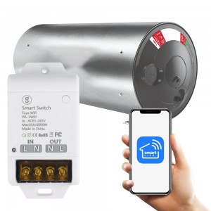 Tuya Wi-Fi Geyser Smart Switch Breaker - 30A / 6600W / Smart Life App