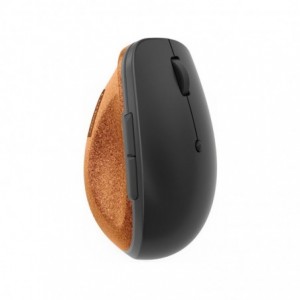 Lenovo Go RF Wireless Vertical Mouse