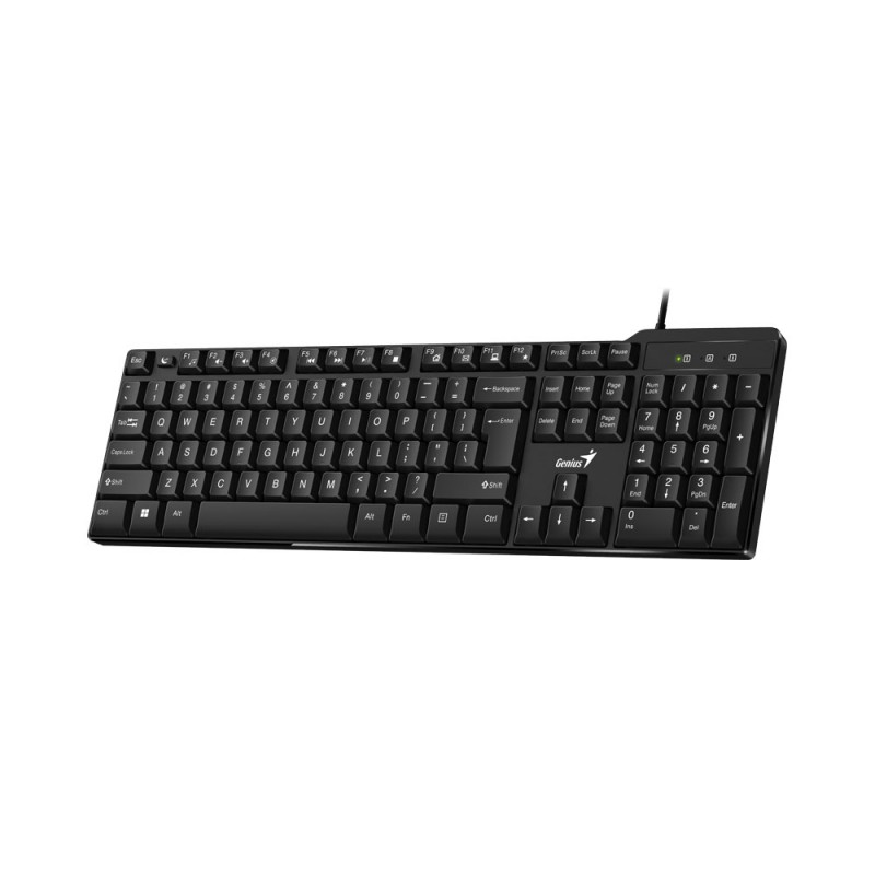 genius-kb-100x-15m-usb-wired-