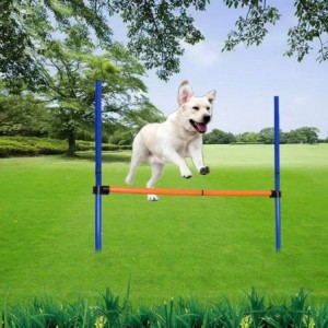 Rex Dog Jump Hurdle Training Set