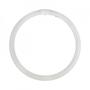 G10Q T9 Fluorescent Circulene Lightbulb - 40W / Cool White