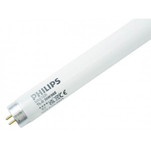 T8 Fluorescent 36w 4ft 1.2mDAYLIGHT PHILIPS