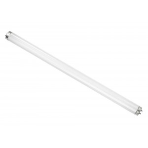 T12 Fluorescent 40w G13 1.2m 4ftCoolwhite RADIANT