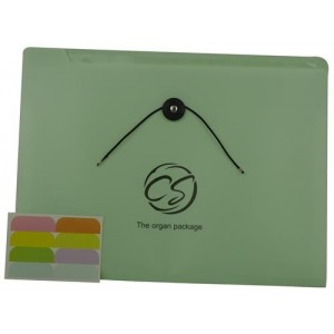 Brainware 8 Compartment Expanding File Organiser - Green