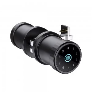Tuya Smart Deadbolt Door Lock with Multiple Unlock Options