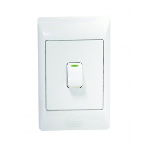 ACDC 1-Lever 1-Way Switch 2x4 C/W White Cover Plate