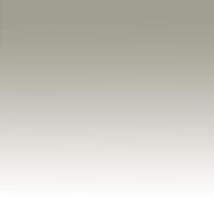 Colorama Colorgrad PVC Graduated Background 110 x 170cm - White / Smoke