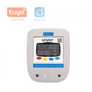 Geyserwise Delta T Display with Tuya Module