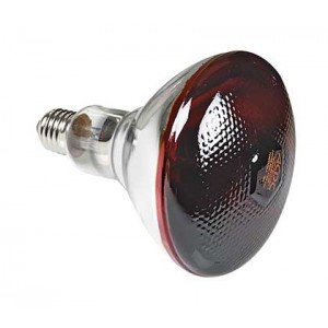 ACDC 175W E27 230VAC Infrared Lamp