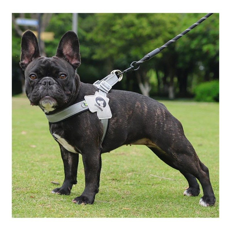 Dog Harness - Supportive Dog Harness for Enjoyable Walks (Multiple
