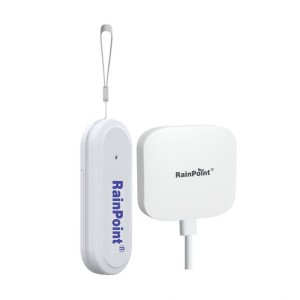 RainPoint Smart Wireless Wi-Fi Outdoor Temp &amp; Humidity Meter + Wi-Fi Hub