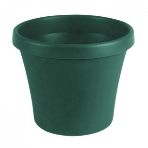 Sebor Super Pot - 10cm - Green