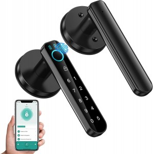 Fingerprint Door Lock Knob - Smart Door Knob- Biometric Door Lock with Passcode Keypad &amp; Keyless Entry - Door Handle
