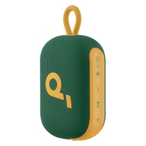 Soundcore Select 4 Go Speaker Green &amp; Gold Limited Edition