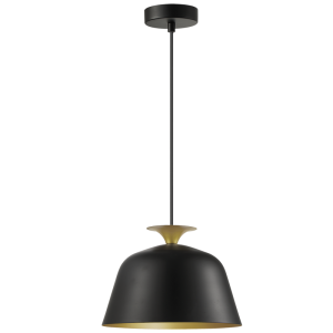 Iron Pendant PEN963 Black