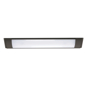 Brightstar FTL699 BLACK Flush Mount Ceiling Light