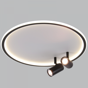 Metal and Plastic Ceiling Fitting |CF606/2 BLACK