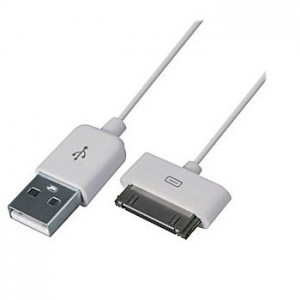 Male USB to 30 pin iPAD Cable