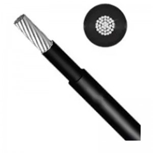 6mm2 Single-core DC Cable 2m - Black