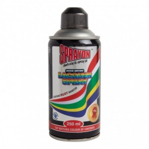 Sprayon Metallic Spray Paint - Cast Iron - 250ml