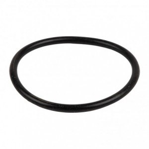 Kaufmann 800w Pool Pump O-Ring