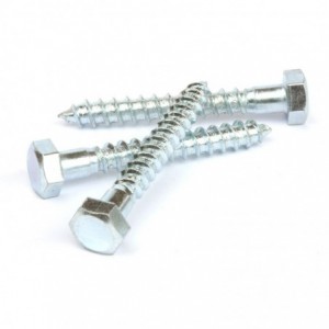 Ifasten Coach Screw M10x75mm 10 Per Pack