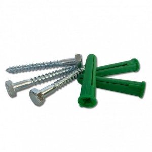 Ifasten Coach Screw M8x60mm &amp; Wall Plug Green 5 Per Pack