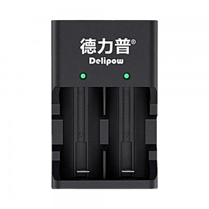 Delipow Size D Battery Charger - Charge 2 Batteries Simultaneously