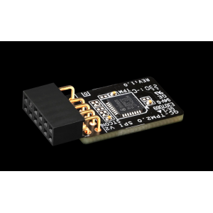 Gigabyte TPM V2 Module SPI Interface