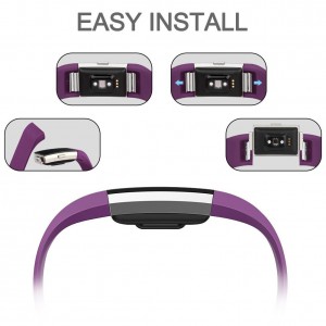 Fitbit Charge 2 Band - Classic Edition Adjustable Comfortable Replacement Strap for Fit bit Charge 2 (No Tracker) - PLUM