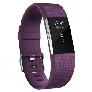 Fitbit Charge 2 Band - Classic Edition Adjustable Comfortable Replacement Strap for Fit bit Charge 2 (No Tracker) - PLUM