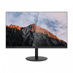 Dahua 23.8 inch LM22